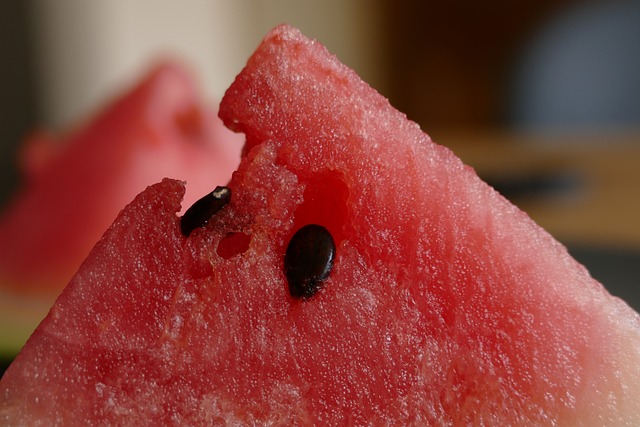 Frutos rojos en una rama con espinas